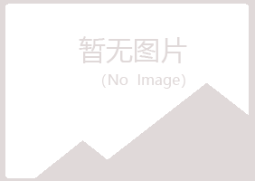 广河县盼夏机械有限公司